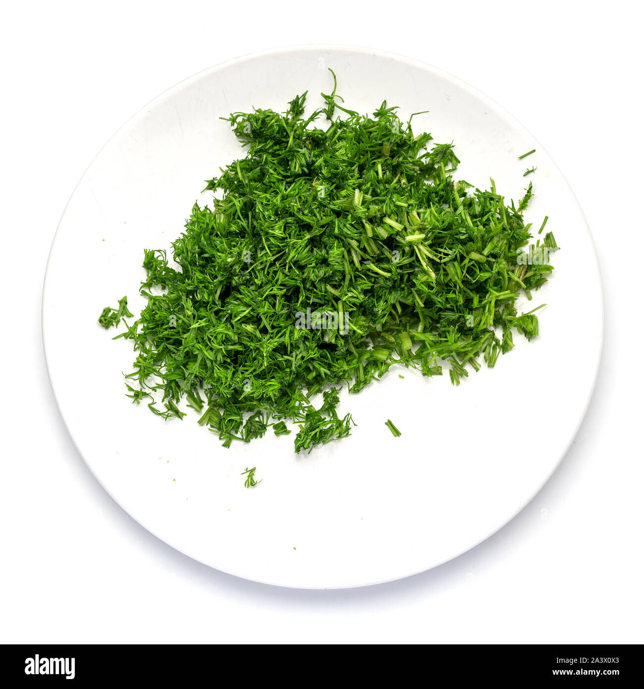 Grün Dill geschnitten in kleinen Stücken auf einem weißen Teller auf einem weißen Hintergrund. Stockfoto