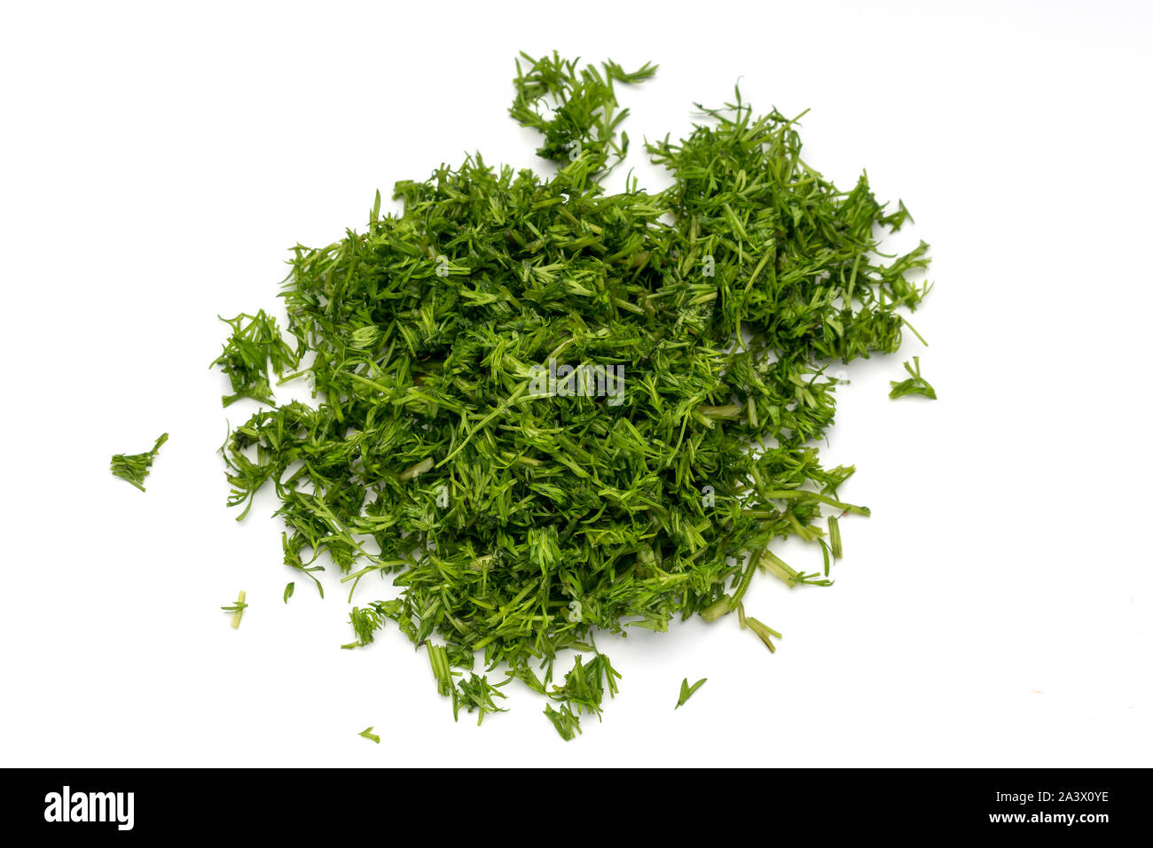Grün Dill geschnitten in kleinen Stücken auf einem weißen Hintergrund. Stockfoto