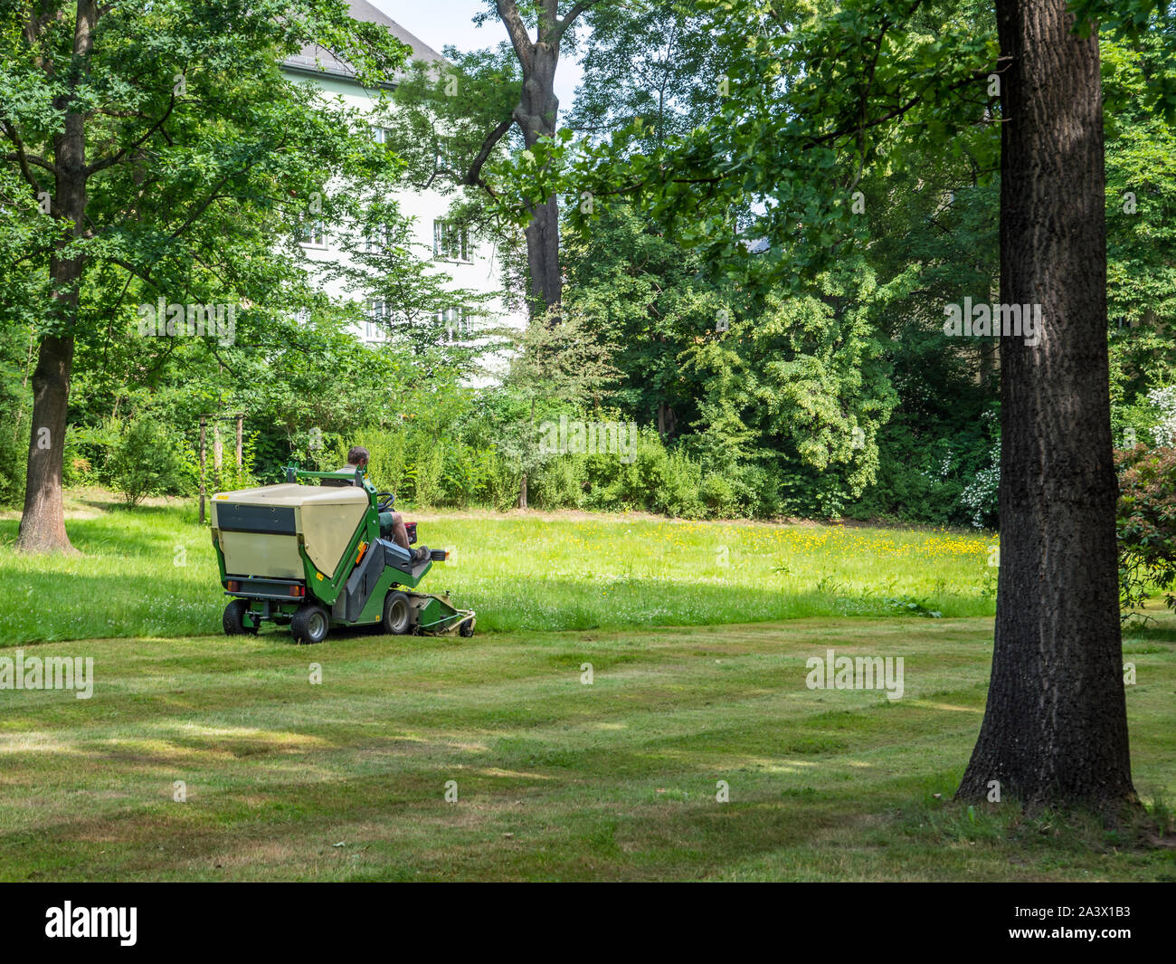 Rasentraktor mäht Rasen im Park Stockfoto