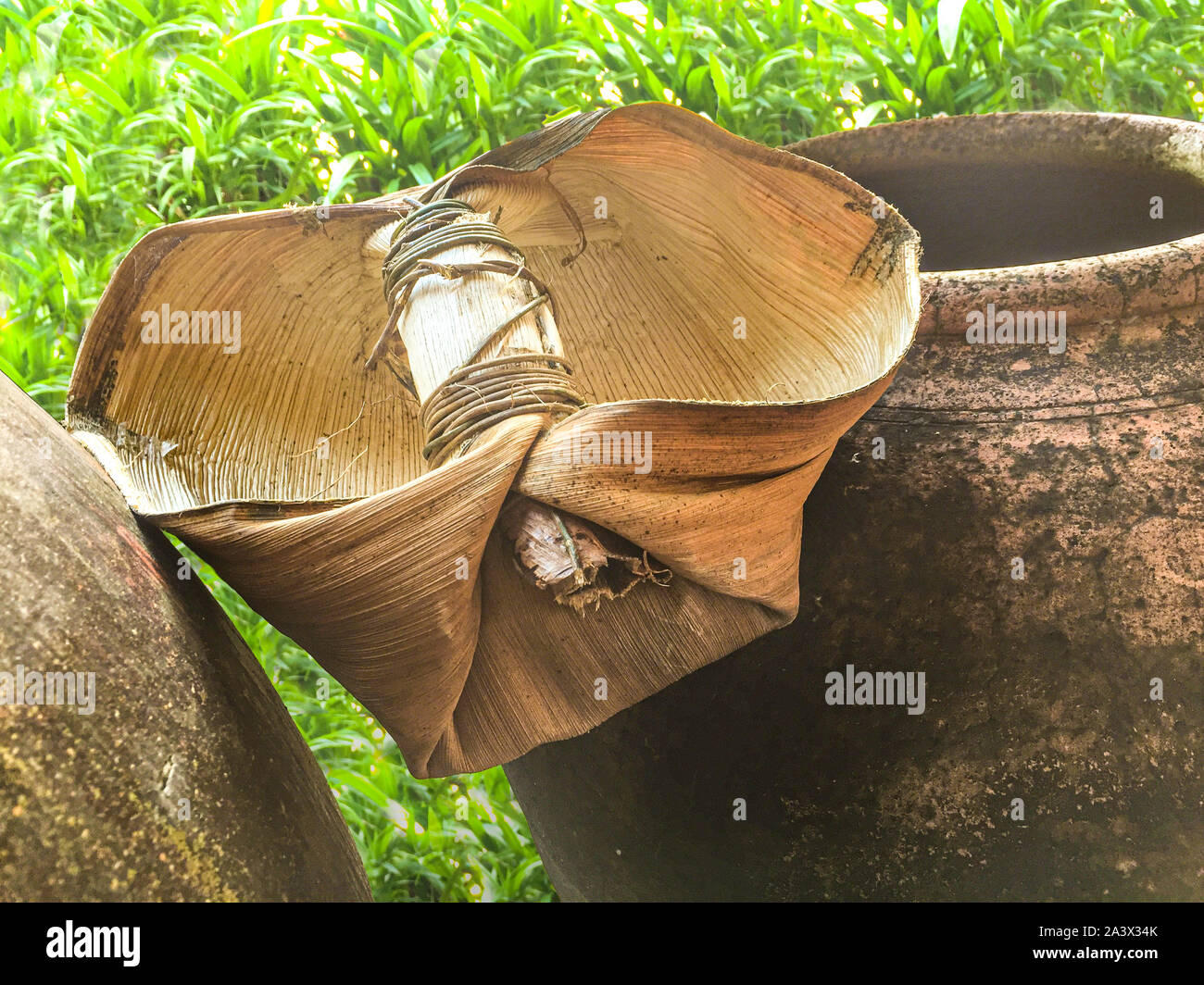 Palm Ummantelung Wassereimer in Thailand. Stockfoto