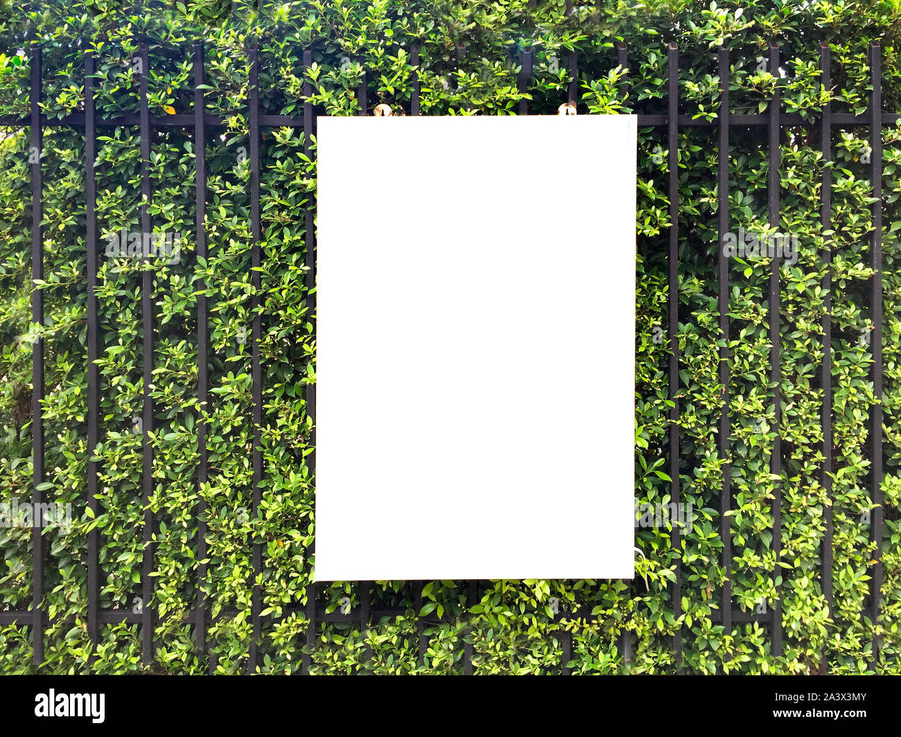 Ein leeres weißes hängende Platte vor dem Baum Hecke, für das Ausfüllen der Werbung oder Nachrichten. Stockfoto