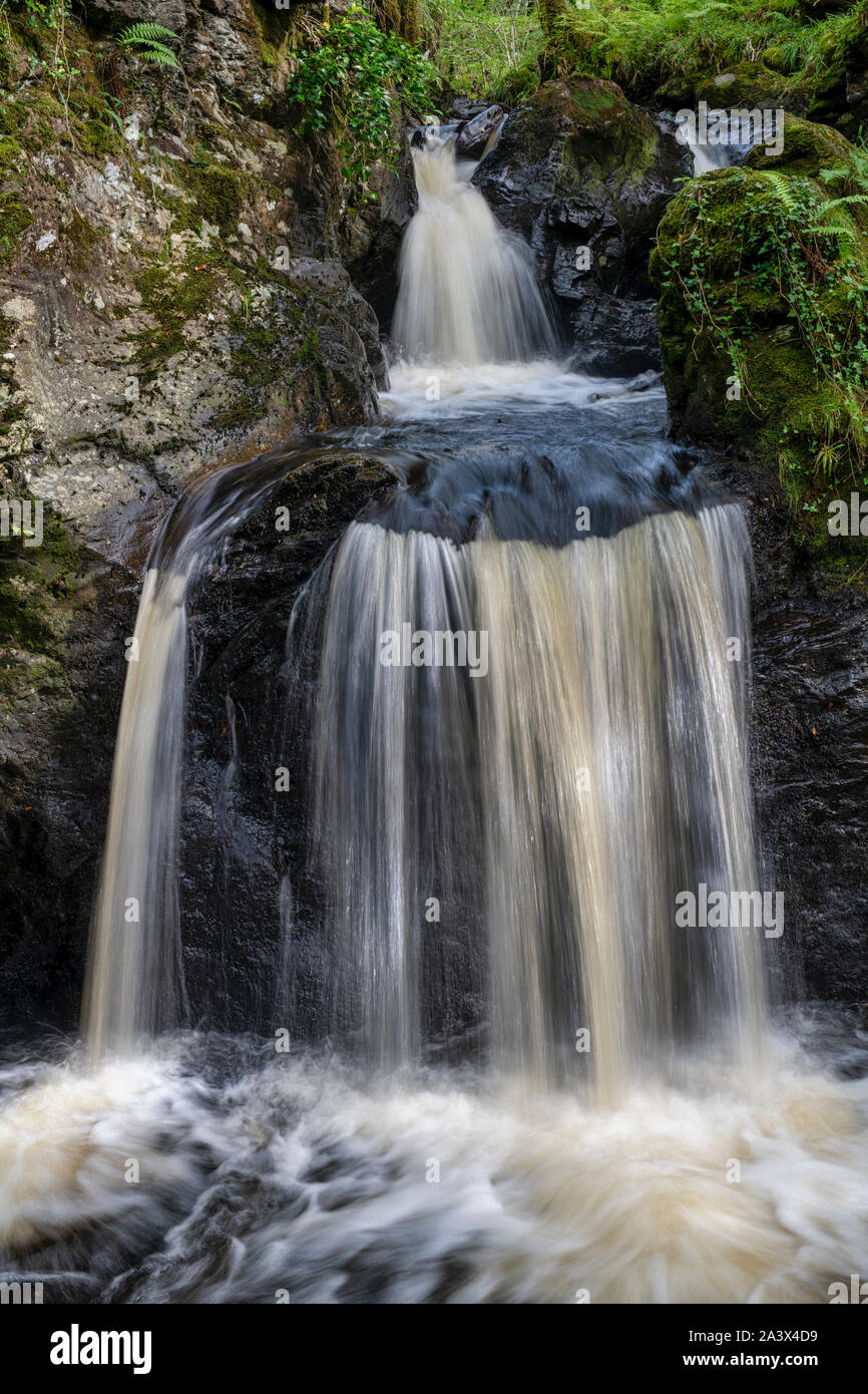 Pulhowan brennen in den Wald von Cree Nature Reserve, Newton Stewart, Dumfries und Galloway, Schottland Stockfoto