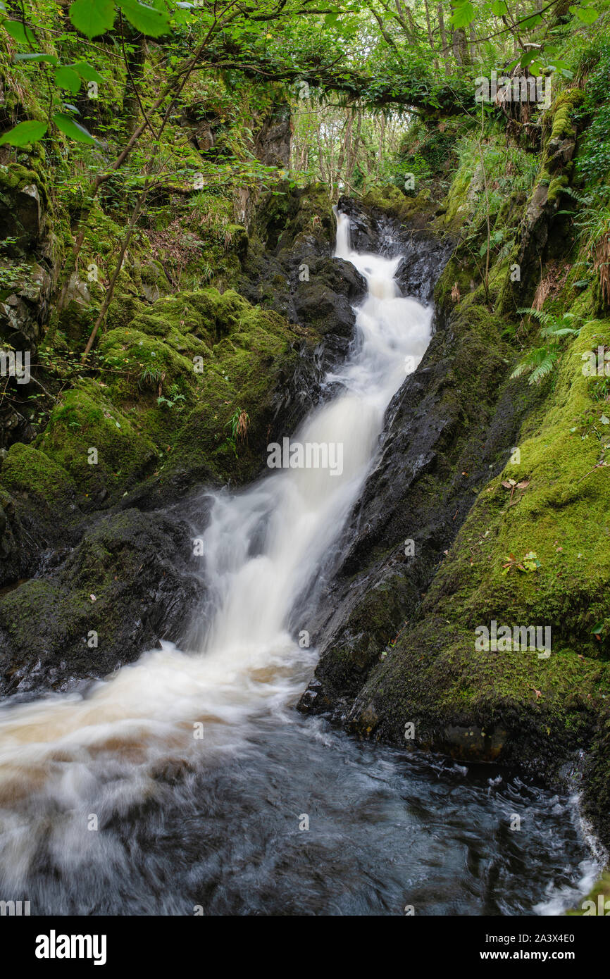 Pulhowan brennen in den Wald von Cree Nature Reserve, Newton Stewart, Dumfries und Galloway, Schottland Stockfoto