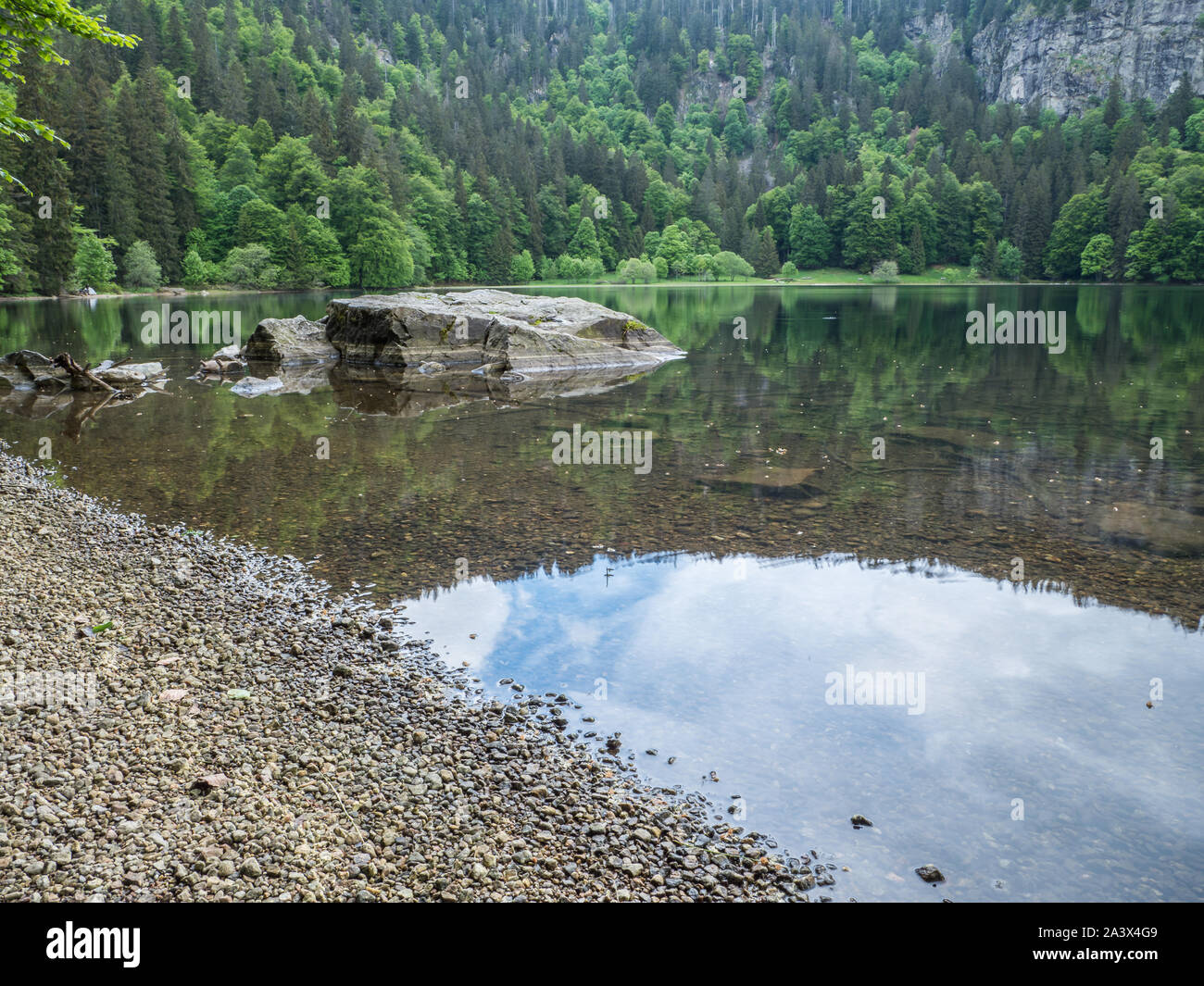 Feldsee schwarzwald Fotos und Bildmaterial in hoher Auflösung Alamy