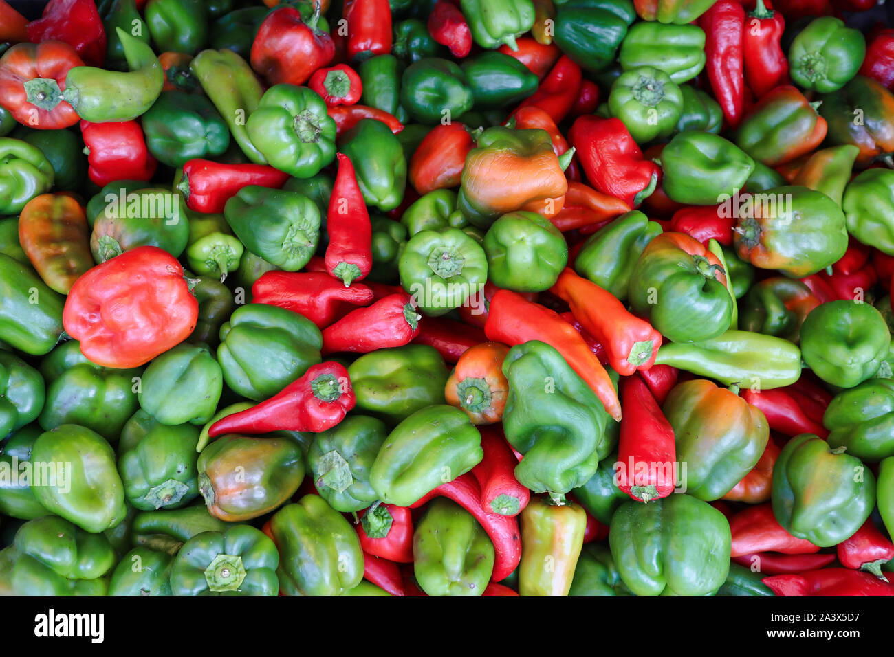 Schöne frische Grün und Rot gemischt Pfeffer Stockfoto