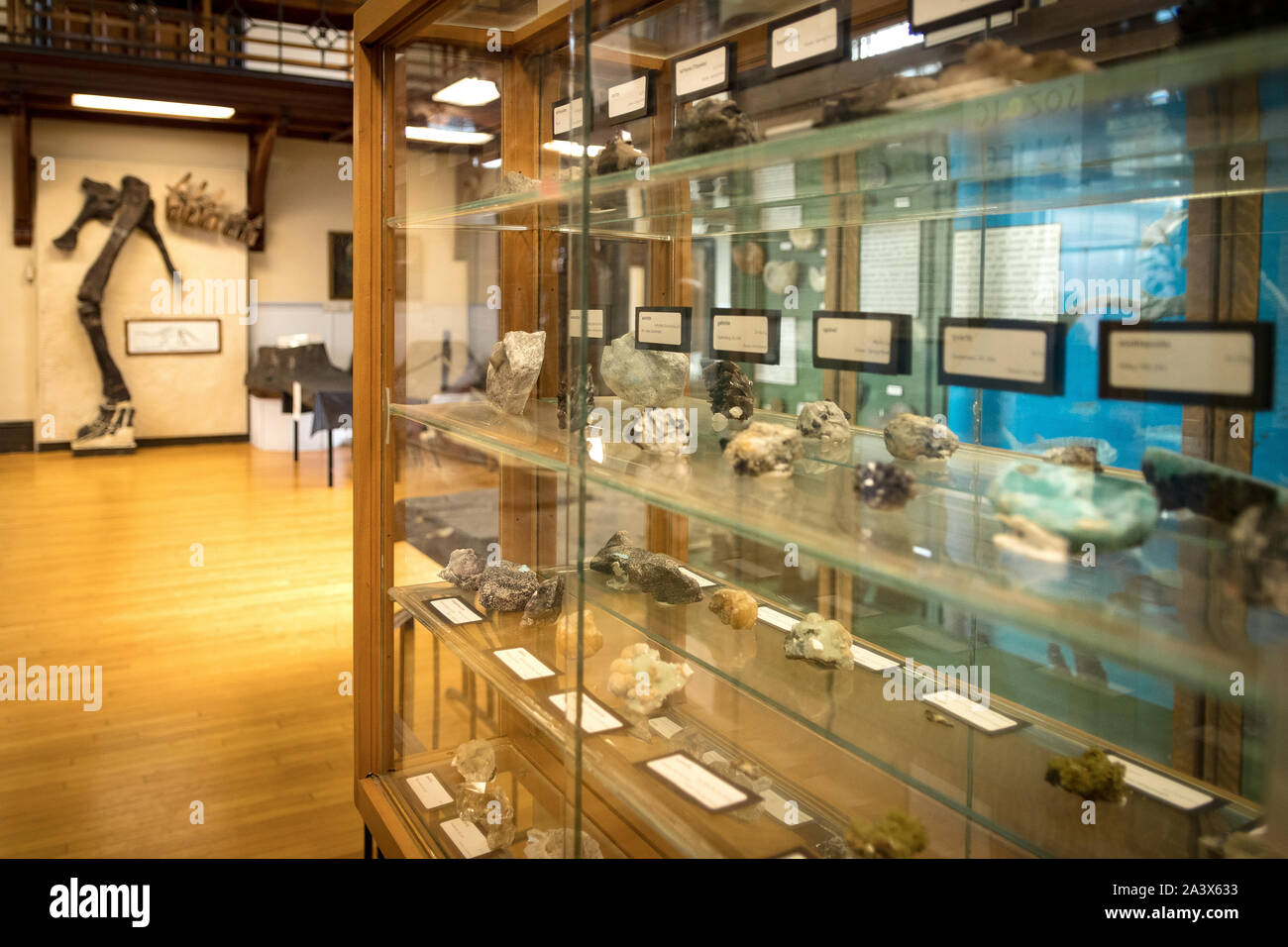 Rutgers Geology Museum (Ansicht der Mineralien und Fossilien) Stockfoto