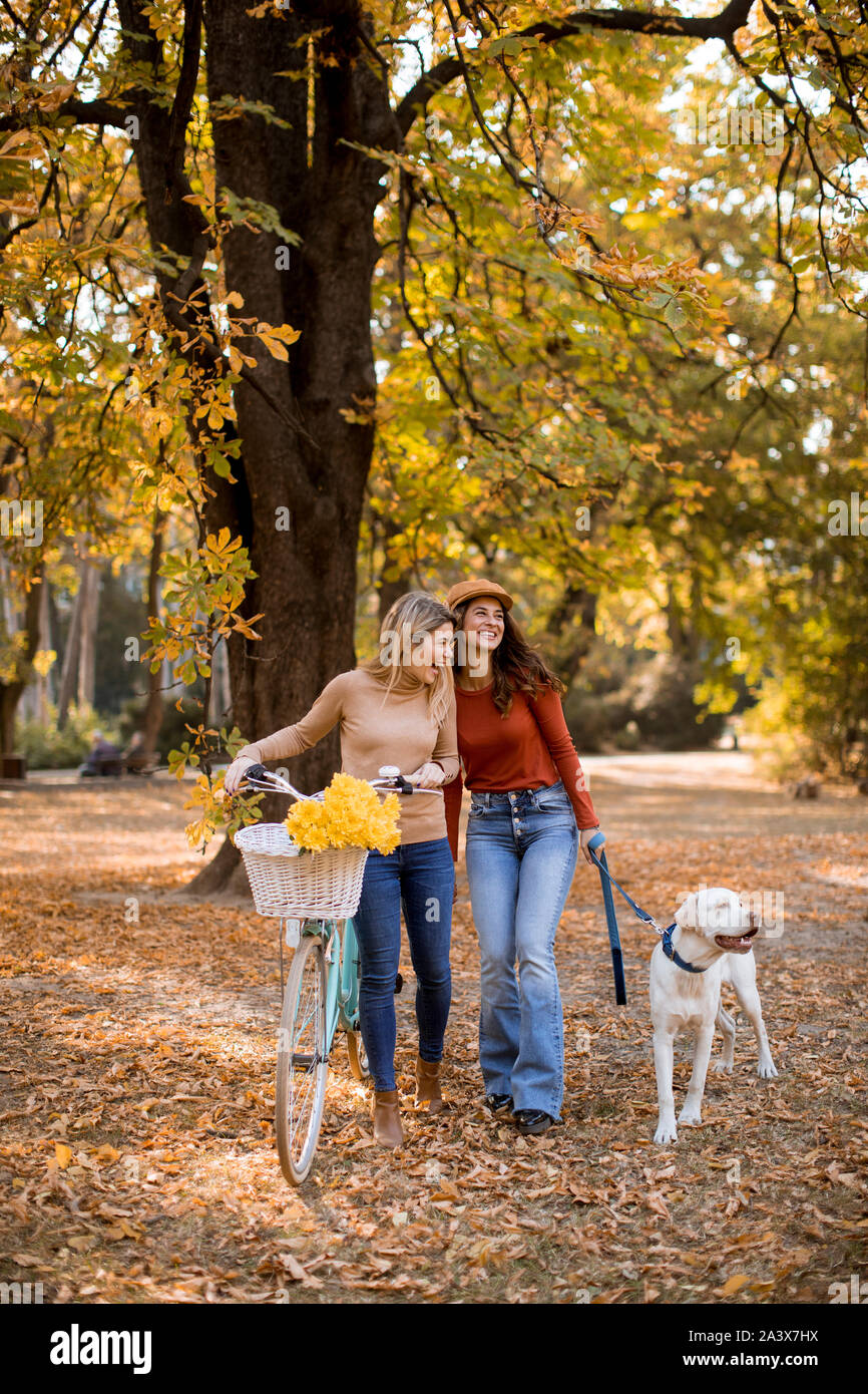 Zwei junge weibliche Freunde zu Fuß in den gelben Herbst park mit Hund und Fahrrad Stockfoto