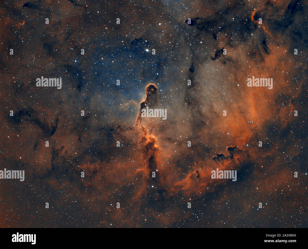 IC 1396 der Elephant Trunk Nebel im Cepheus Stockfoto