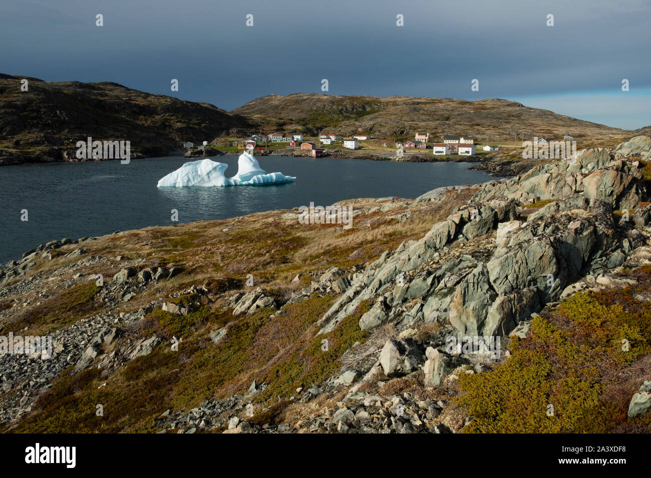 Eisberg in Zurück Bucht auf der Insel Fogo in der Nähe von Schwefel Kopf Park, NL Stockfoto