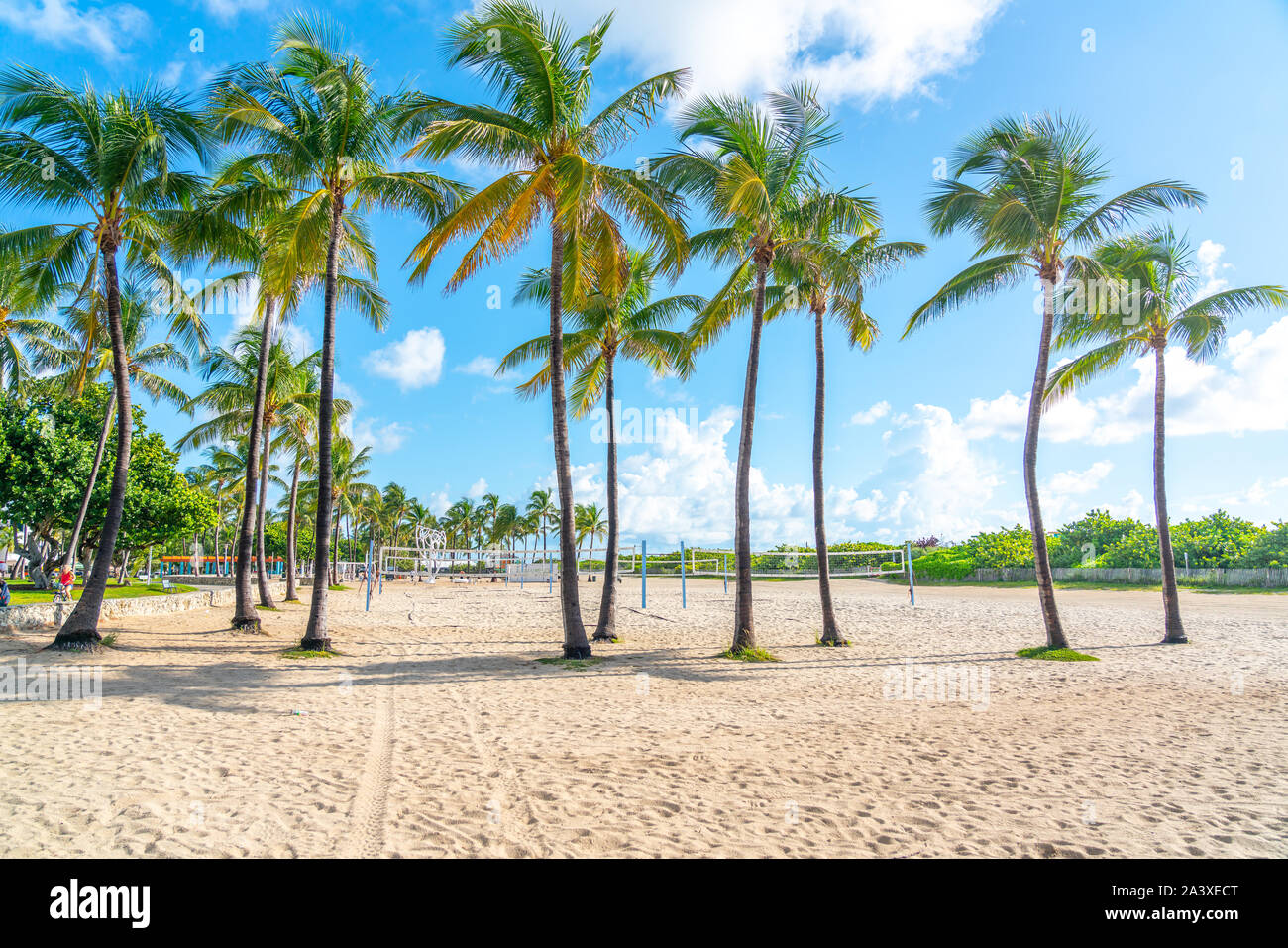 Miami, USA - September 09.09.209: Miami South Beach Park mit Palmen, Florida USA Stockfoto