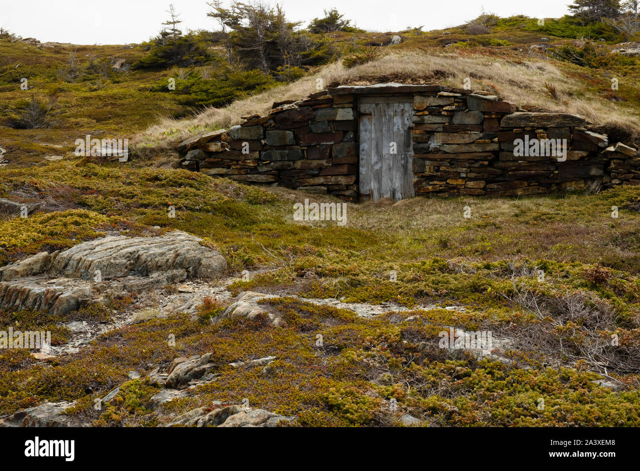 Root Keller aus Stein mit einer hölzernen Tür in Elliston, Neufundland Stockfoto