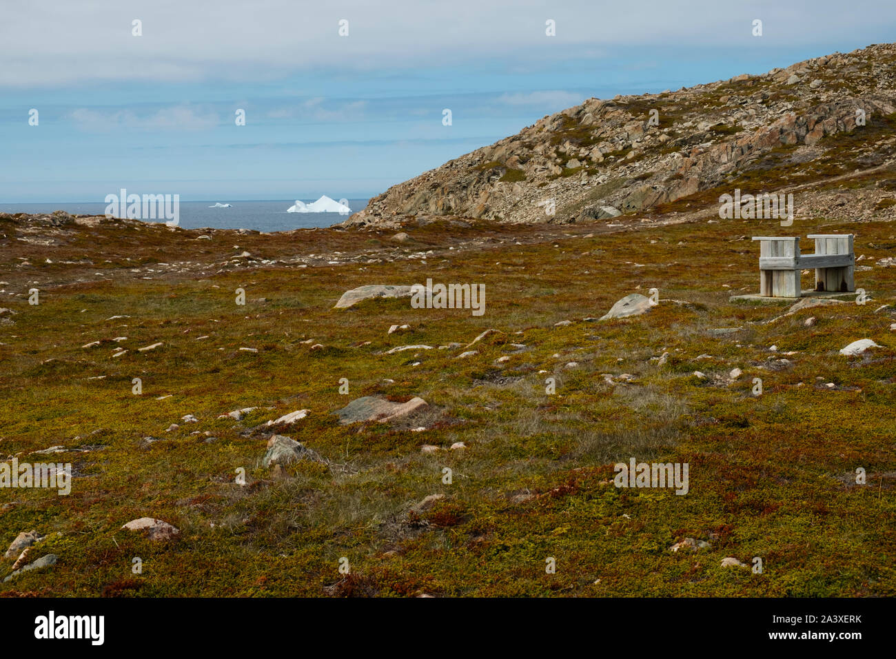 Blick auf Punkt Bonavista, Neufundland mit dem Meer mit Eisberg floating durch. Stockfoto