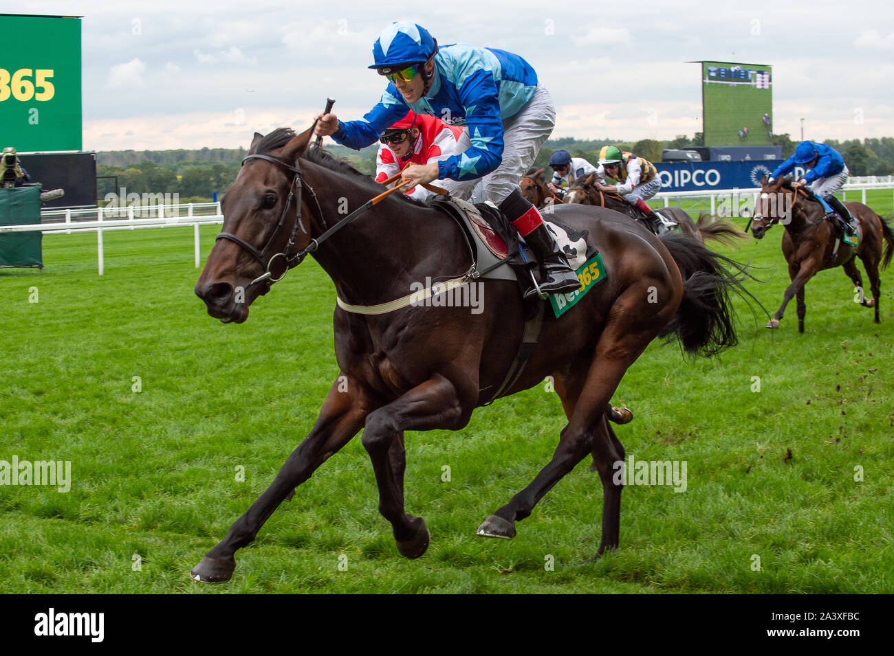 Herbst Racing Wochenende & Ascot Bierfest, Ascot Racecourse, Ascot, Berkshire, Großbritannien. 5. Oktober, 2019. Jockey Ben Curtis gewinnt die Wette 365 Challenge Cup (Klasse 2 Erbe Handicap) auf Pferd Kynren (IRE). Credit: Maureen McLean/Alamy Stockfoto