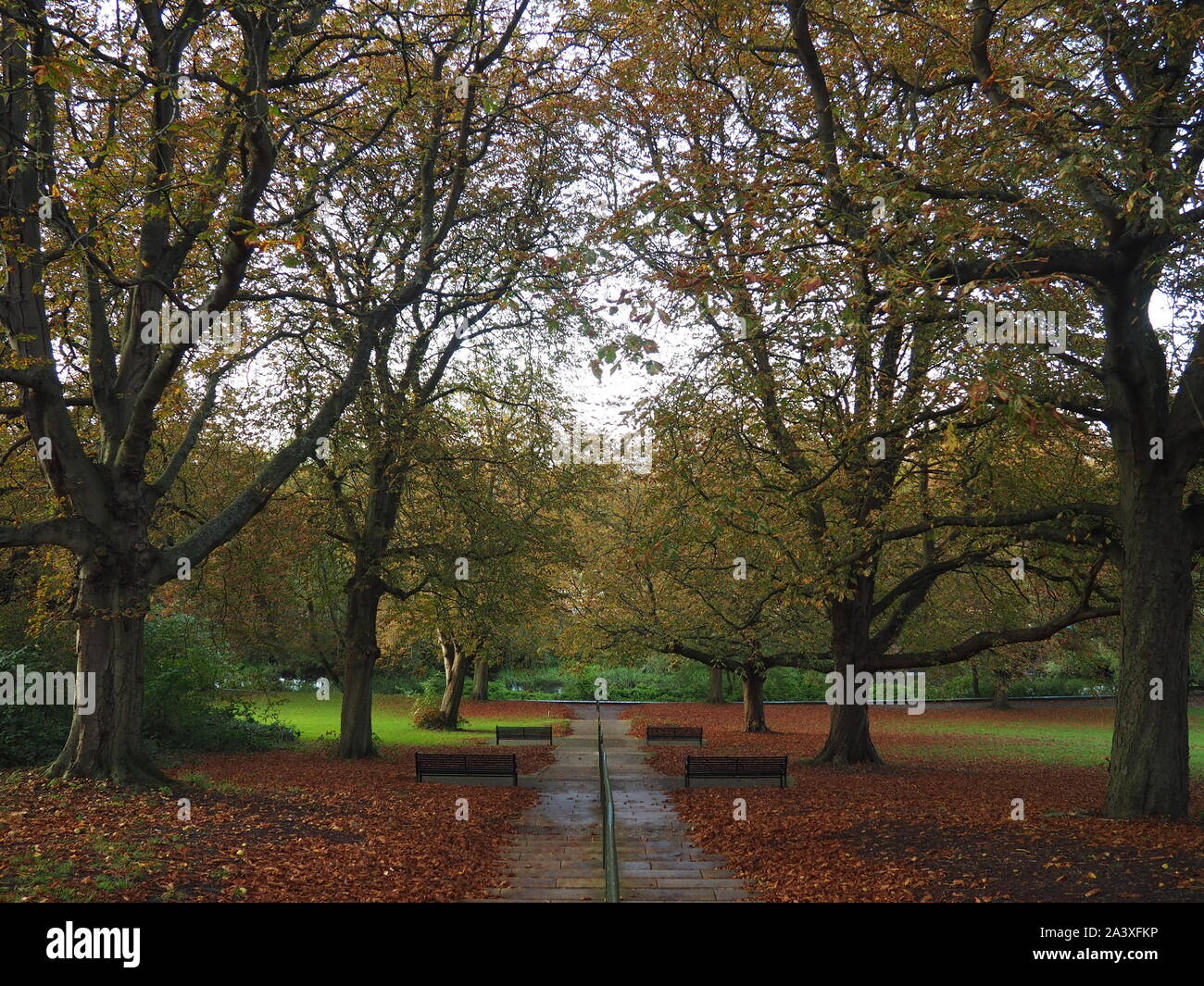 Herbstfarben im Park - Watford Stockfoto