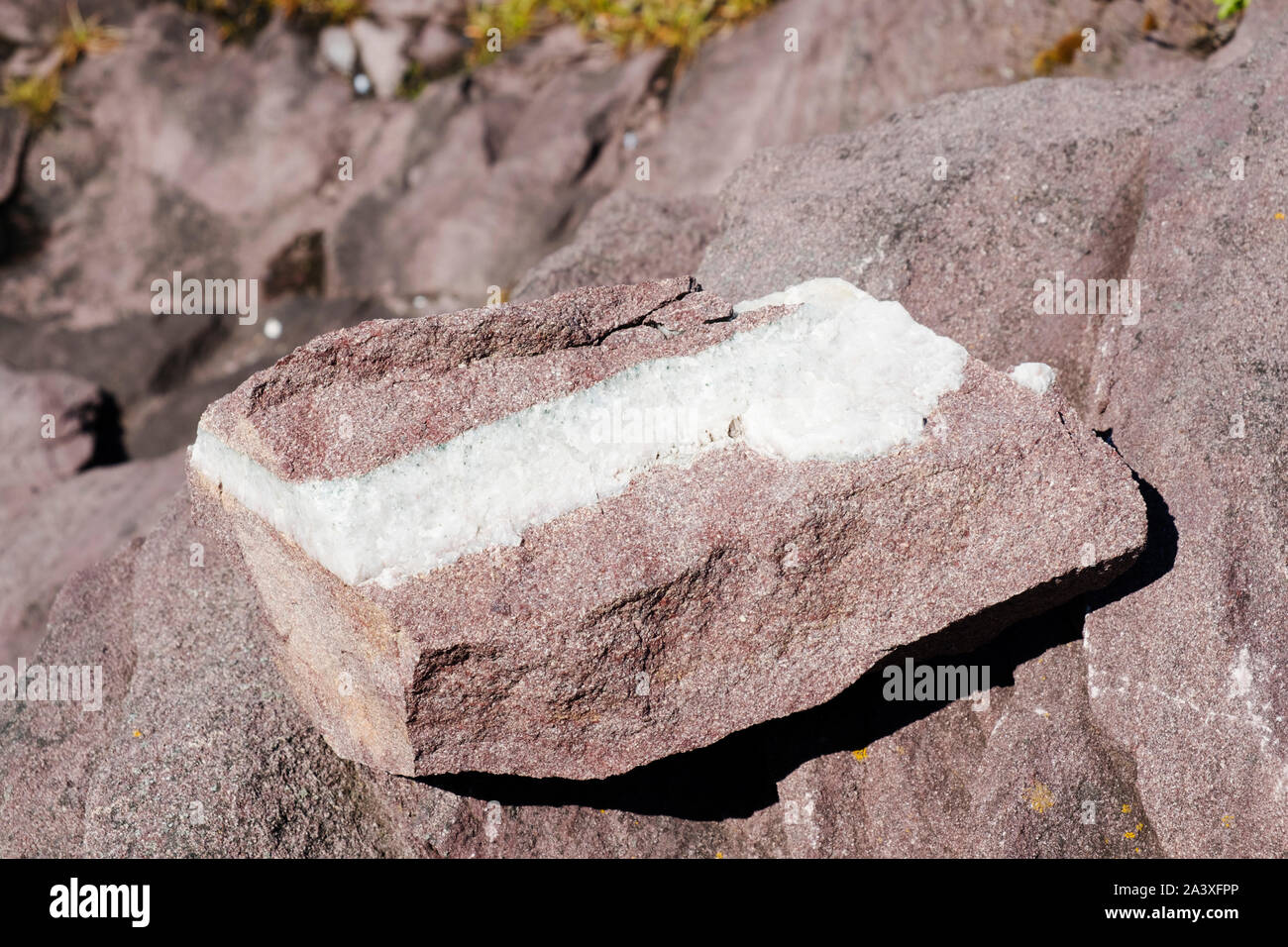 Quarzader in Rock in neuen Perlican, Neufundland Stockfoto
