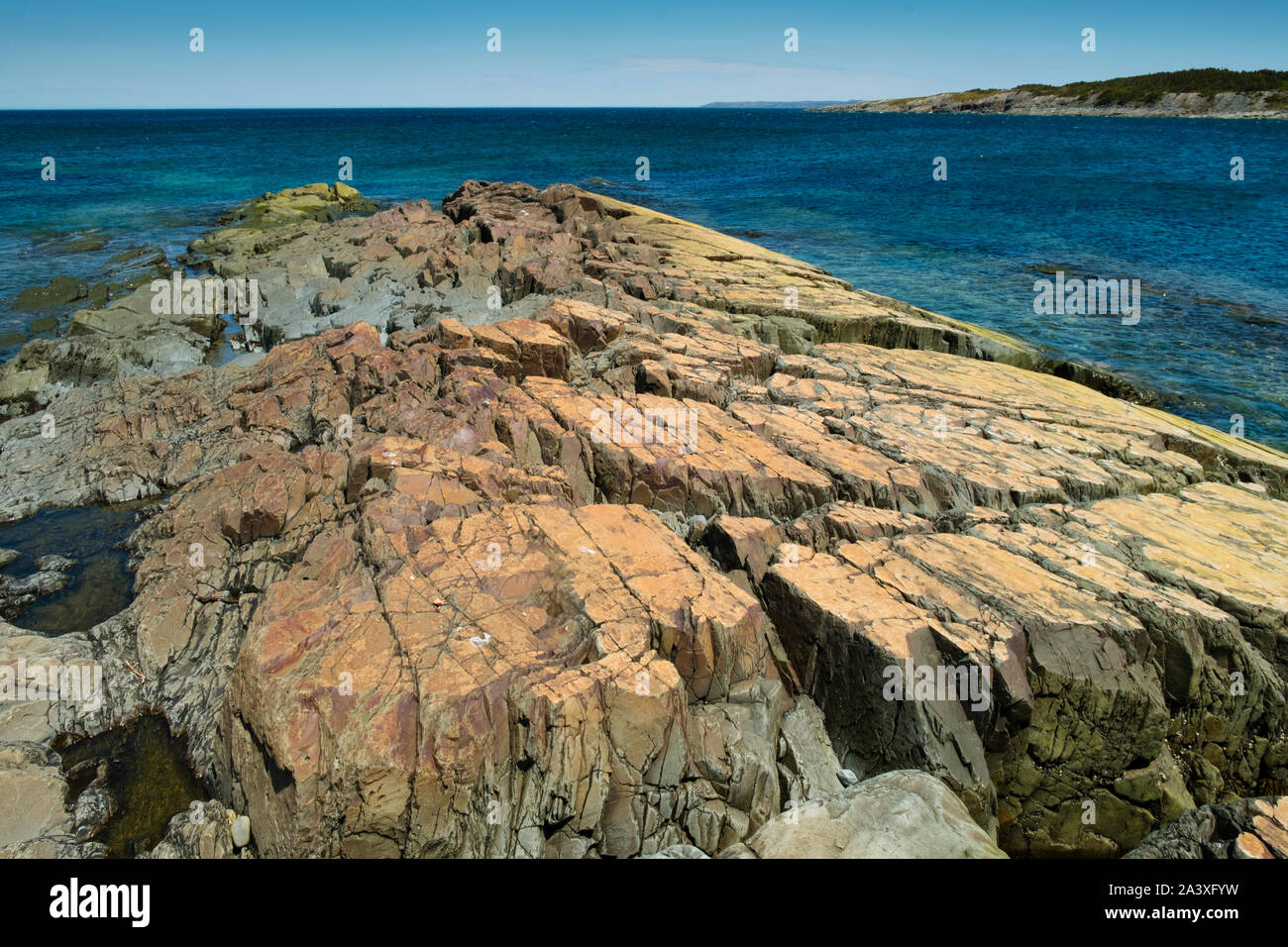 Flat Rock an Brownsdale, mit Rosenquarz, Neufundland Stockfoto