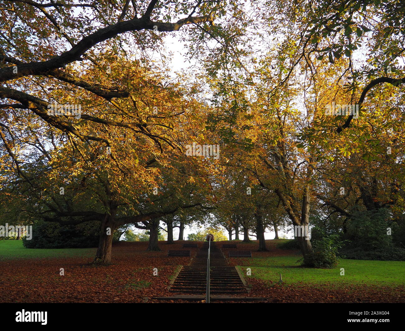 Herbstfarben im Park - Watford Stockfoto