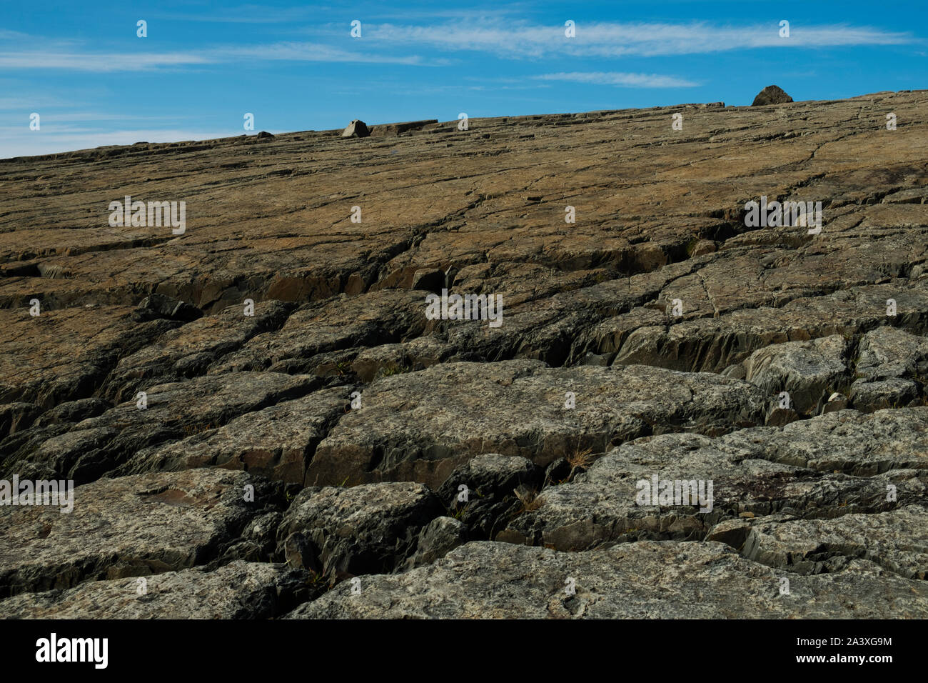 Flache Felsformation in der Nähe von Kaminen, Cove, Neufundland Stockfoto