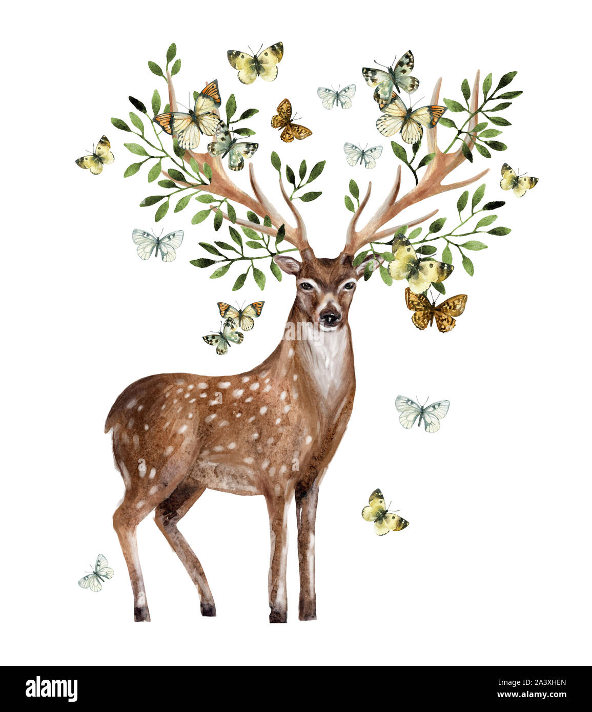 Hand gemalte Aquarell Hirsch Geweih mit Blätter, Zweige, Schmetterling auf weißem Hintergrund. Tierische Kunst Illustration für Einladung, Hochzeit, Gr Stockfoto