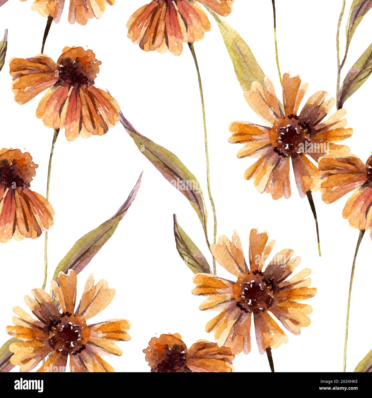 Abstrakt floral nahtlose Muster. Aquarell Kamille Blüten, Blätter Hintergrund. Von Hand bemalt Herbst Illustration für Stoff, Textil, Verpackung desi Stockfoto