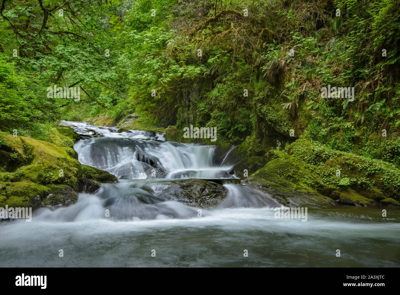 Wasserfall auf Süße Creek, Coast Range Berge, Oregon. Stockfoto