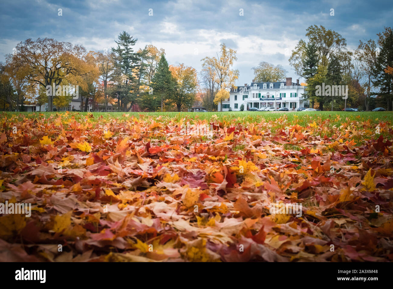 Eagleton Institut der Politik an der Rutgers Universität, mit der gefallenen Ahorn Blätter gold und rot in den Vordergrund Stockfoto