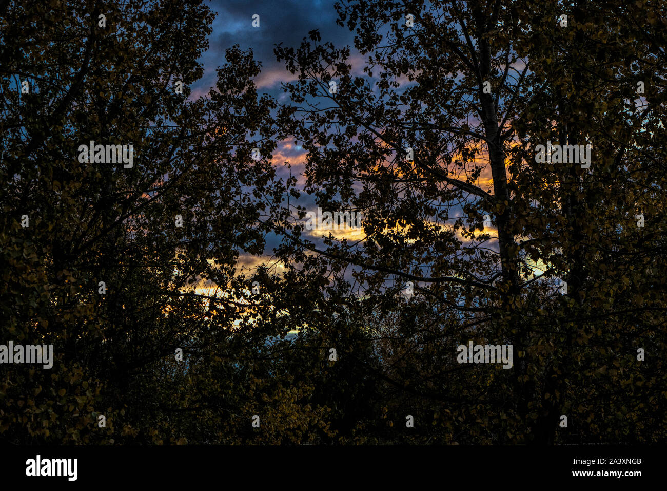 Abend-Himmel Stockfoto