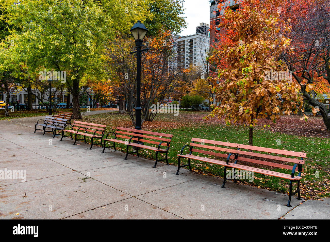Reihe von Bänken in den Washington Square Park in Chicago im Herbst Stockfoto
