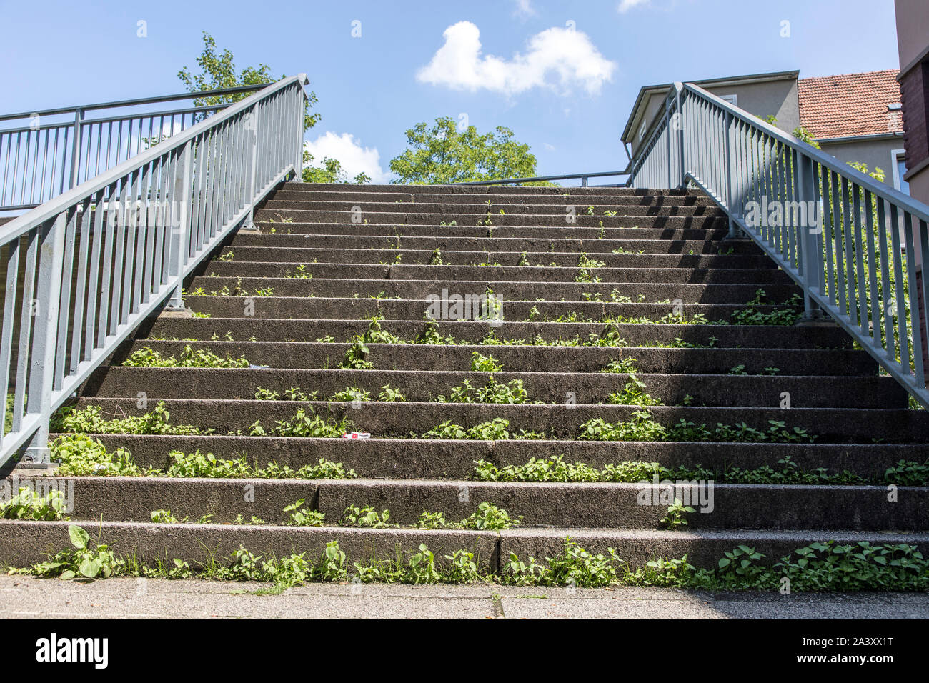 Treppen, Stufen, zu einem Verkehr, Fußgängerbrücke, voll mit Unkraut überwuchert, Stockfoto