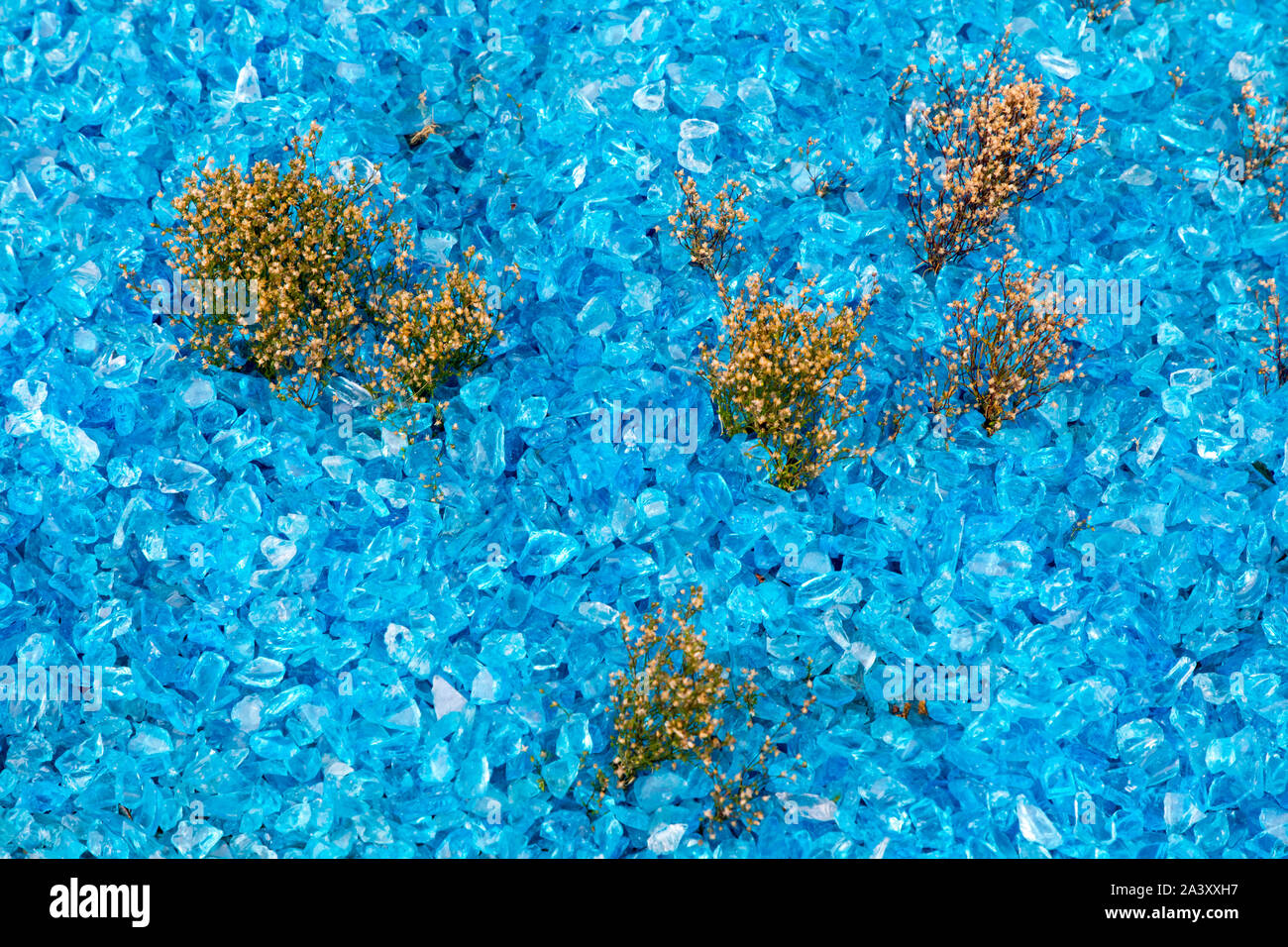 Blumenbeet, aus blauem Glas, Scherben, Kristalle, kleine Zierpflanzen in Zwischen, Dekoration, Stockfoto