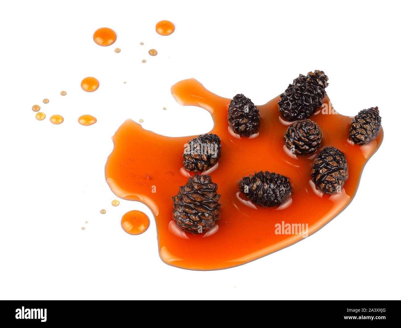 Junge Tannenzapfen jam Stockfoto