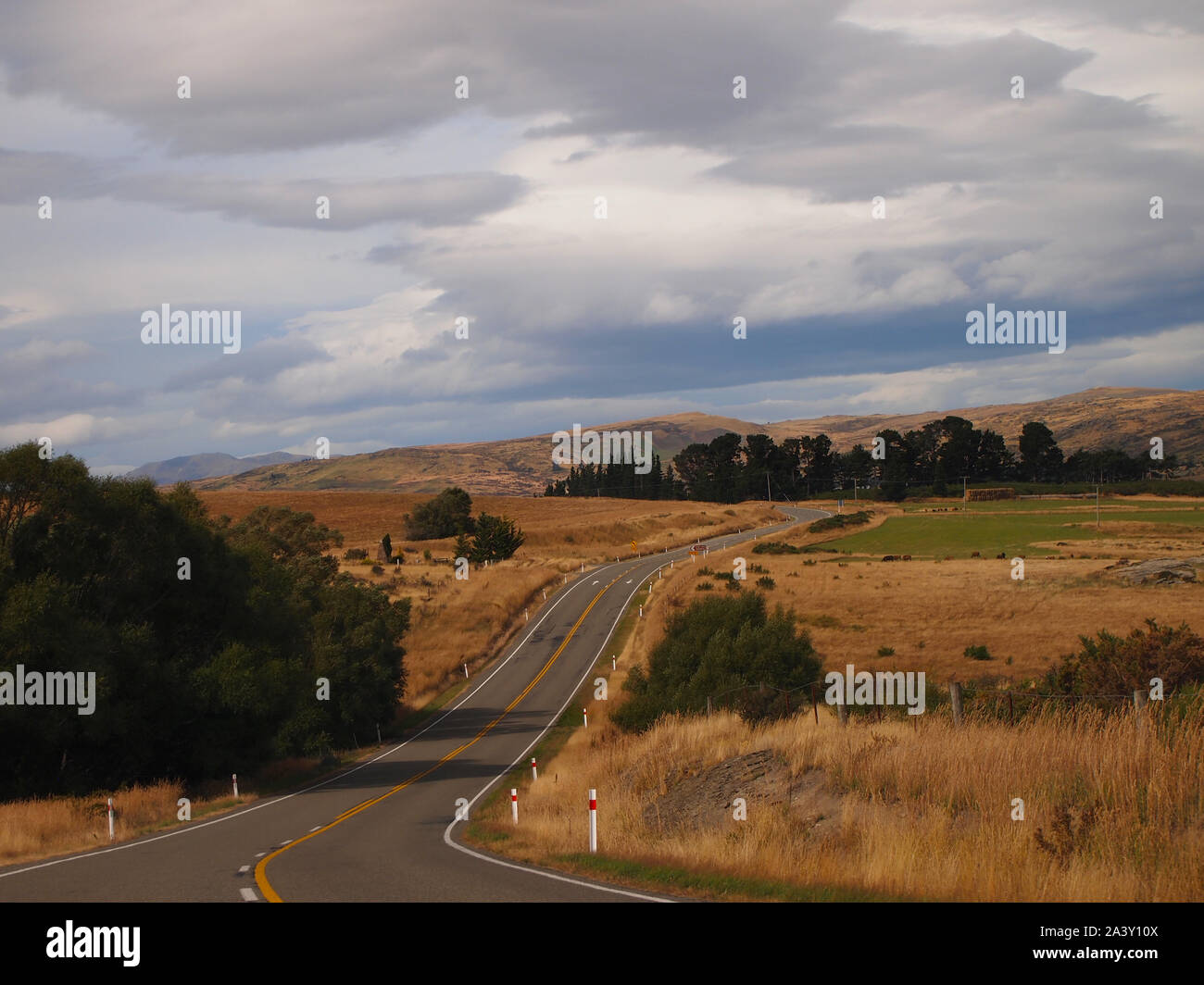 Die ländlichen Straßen in der Nähe von Dunedin in Neuseeland Südinsel Stockfoto