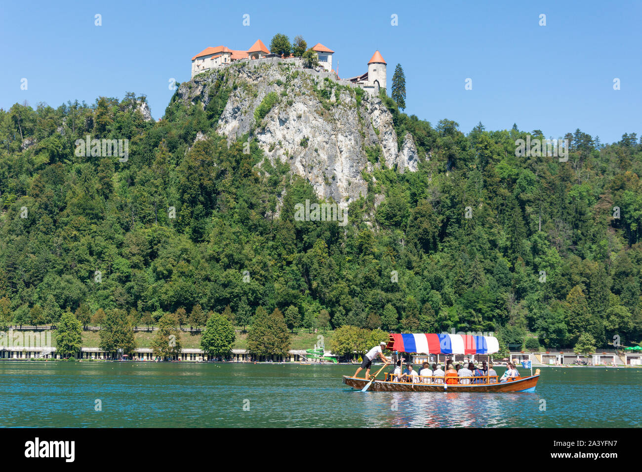 Traditionelle hölzerne Pletna und die Burg von Bled, Bled, Bled, Obere Kraina, Slowenien Stockfoto