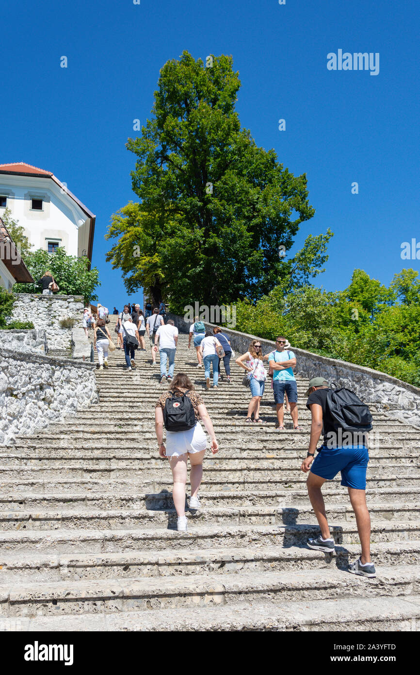 Barocke Treppen zu Maria Himmelfahrt Kirche, Bled Insel (Blejski otok), der See von Bled, Bled, Obere Kraina, Slowenien Stockfoto