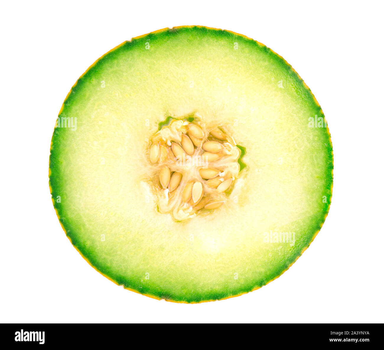 Scheibe einer muskmelon auf weißem Hintergrund. Runde Stück Melone. Stockfoto