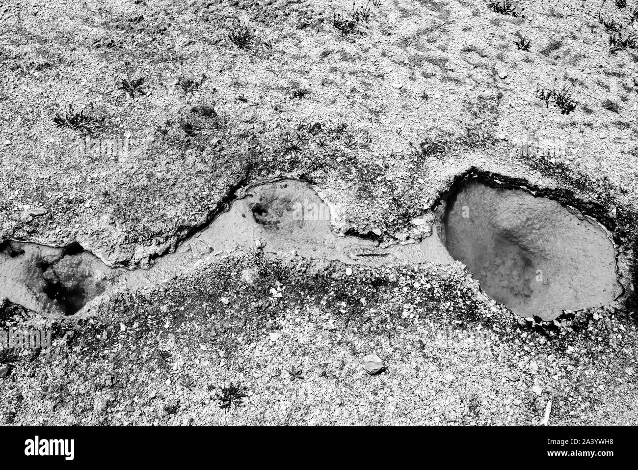 Heiße Quellen in Yellowstone in Schwarz und Weiß Stockfoto