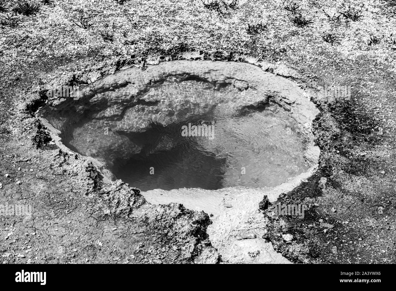 Heiße Quellen in Yellowstone in Schwarz und Weiß Stockfoto