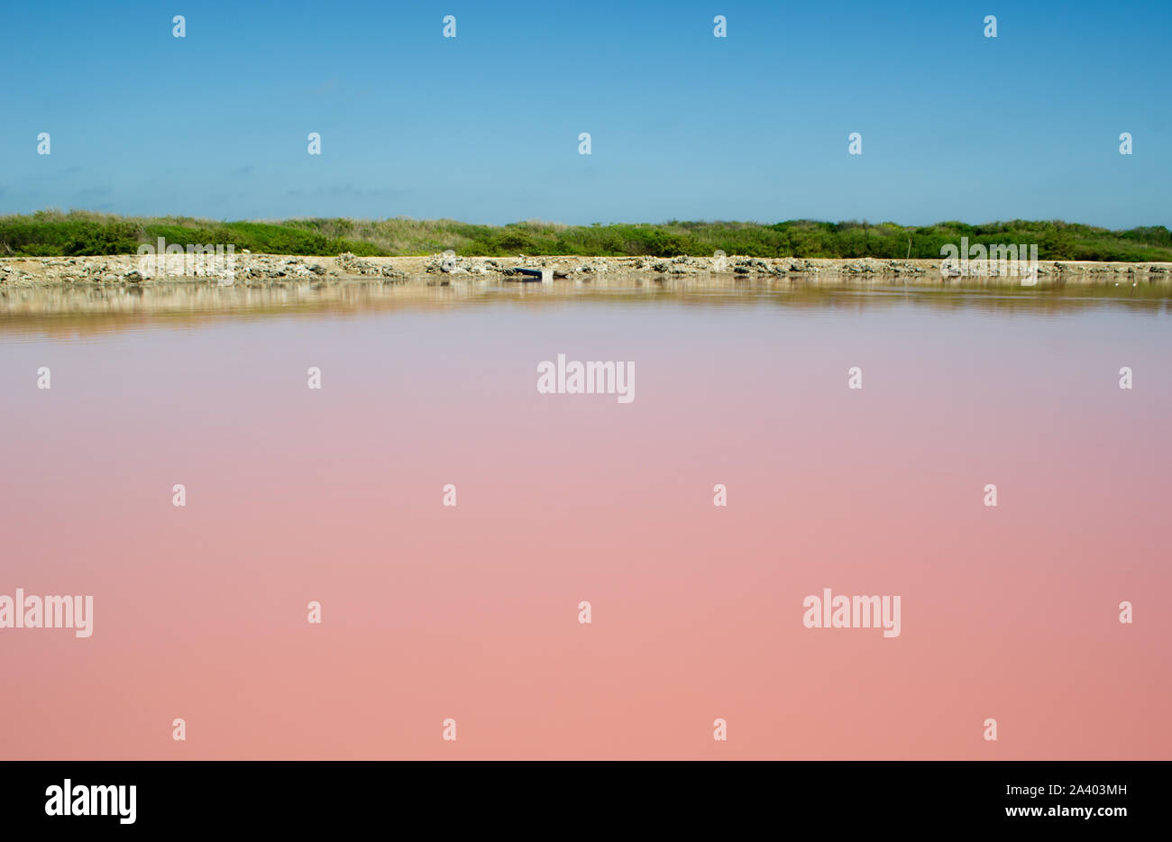 Rotes Meer von Galerazamba, wo eine Art von Algen dreht das Salz rosa Seen Stockfoto