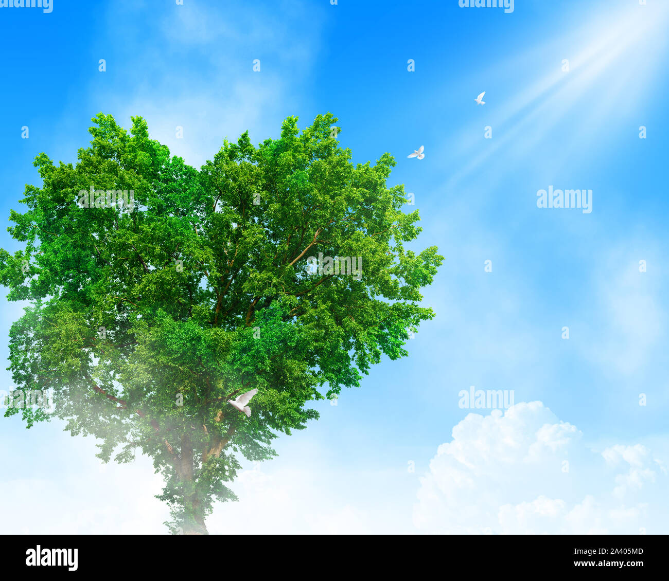 Herzförmige Baum über den Wolken. Baum des Lebens Konzept. Stockfoto