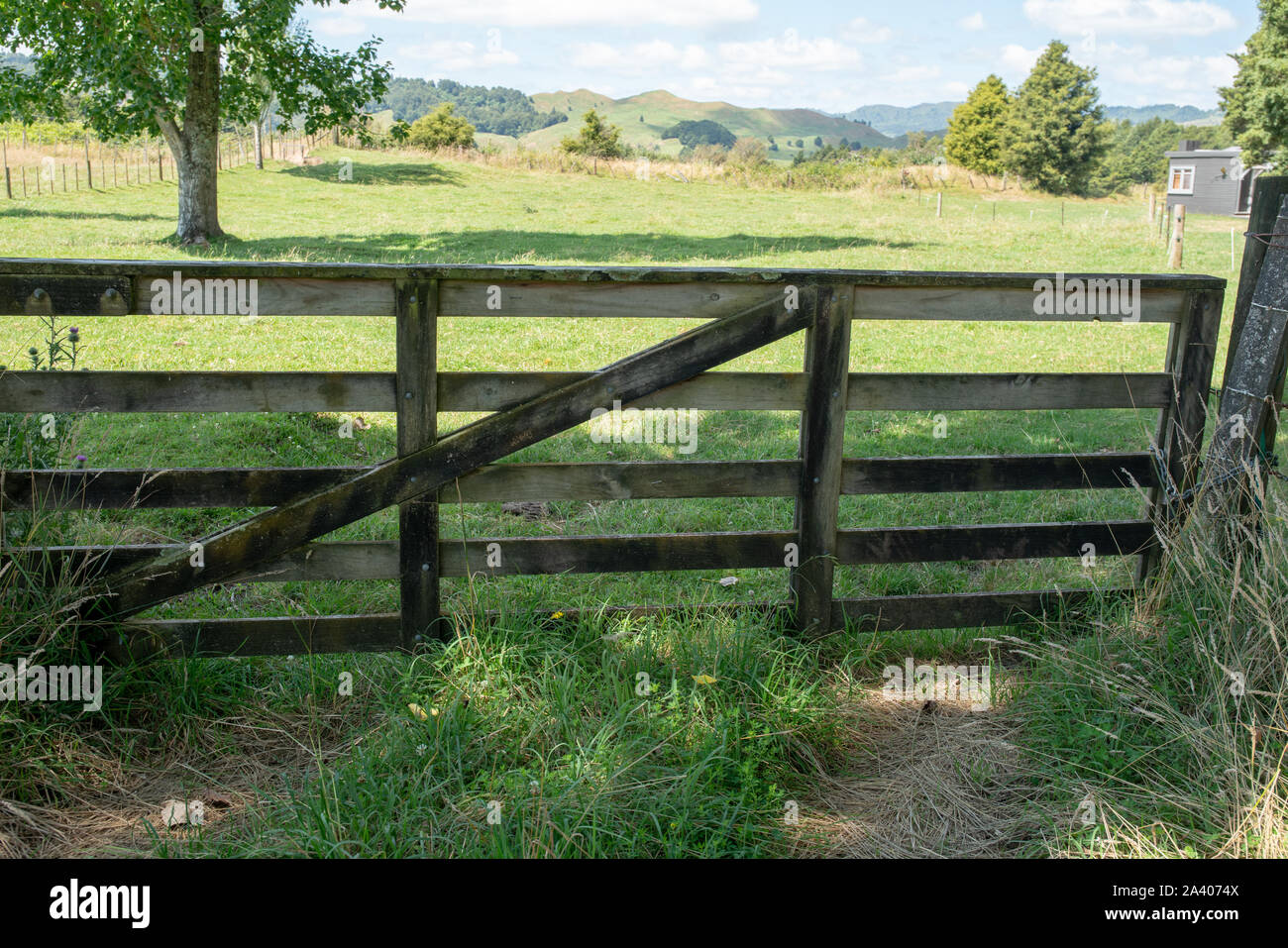 Traditionelle hölzerne Pfosten und Schiene Zaun auf die ländlichen Farm in  Neuseeland Stockfotografie - Alamy