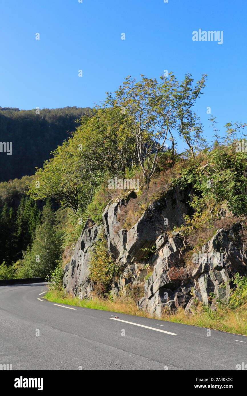 Eine geteerte Landstraße verläuft durch die ländliche Landschaft auf der Insel Osterøy im Kreis Vestland, Norwegen. Stockfoto