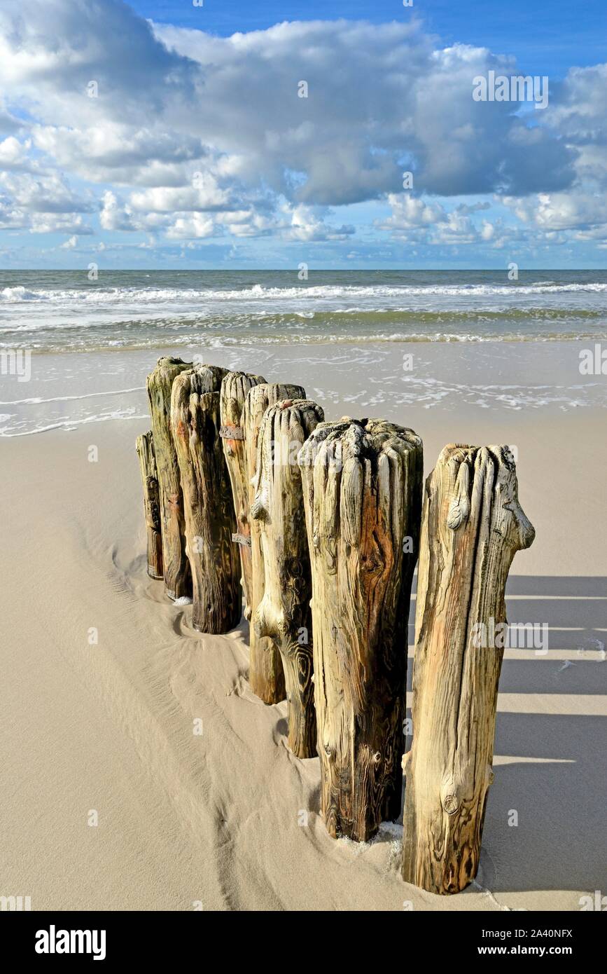 Buhnen, Holz- Stapel als Wellenbrecher am Strand in der Nähe von Kampen, Sylt, Nordfriesische Inseln, Nordsee, Nordfriesland, Schleswig-Holstein, Deutschland Stockfoto