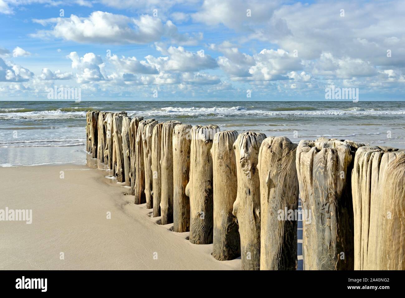 Buhnen, Holz- Stapel als Wellenbrecher am Strand in der Nähe von Kampen, Sylt, Nordfriesische Inseln, Nordsee, Nordfriesland, Schleswig-Holstein, Deutschland Stockfoto