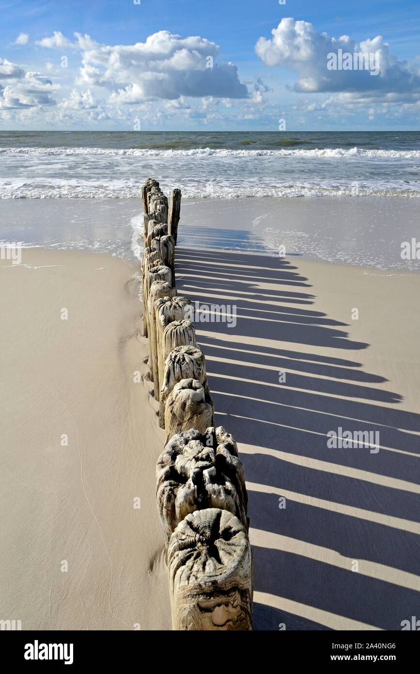 Buhnen, Holz- Stapel als Wellenbrecher am Strand in der Nähe von Kampen, Sylt, Nordfriesische Inseln, Nordsee, Nordfriesland, Schleswig-Holstein, Deutschland Stockfoto