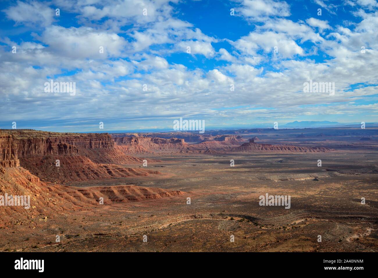 Cedar Mesa an Moki Dugway, erodierte Tafelberge, Blick auf das Tal der Götter, Bären Ohren National Monument, Utah State Route 261, Utah, USA Stockfoto