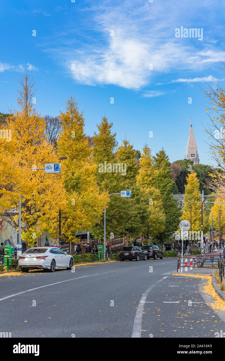 Schöne Herbstfarben der japanischen Ahorn iroha Momiji in Harajuku mit Shinjuku Docomo Turm im Hintergrund. Stockfoto