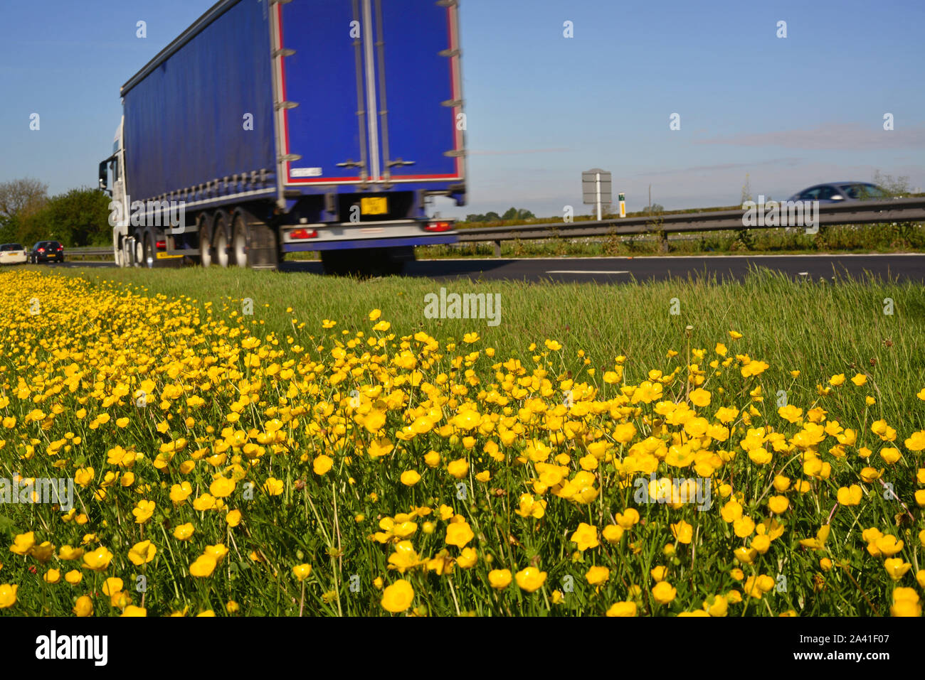 Lkw vorbei am Straßenrand Butterblumen auf der A 64 York Vereinigtes Königreich Stockfoto