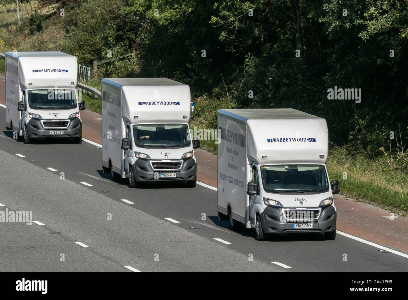 Eine Flotte von Abbeywood umzieht Peugeot Boxer 335 Professional L3 Lieferwagen; benannte Umzugsfahrzeuge fahren nordwärts auf der Autobahn M6 in der Nähe von Garstang, Großbritannien Stockfoto