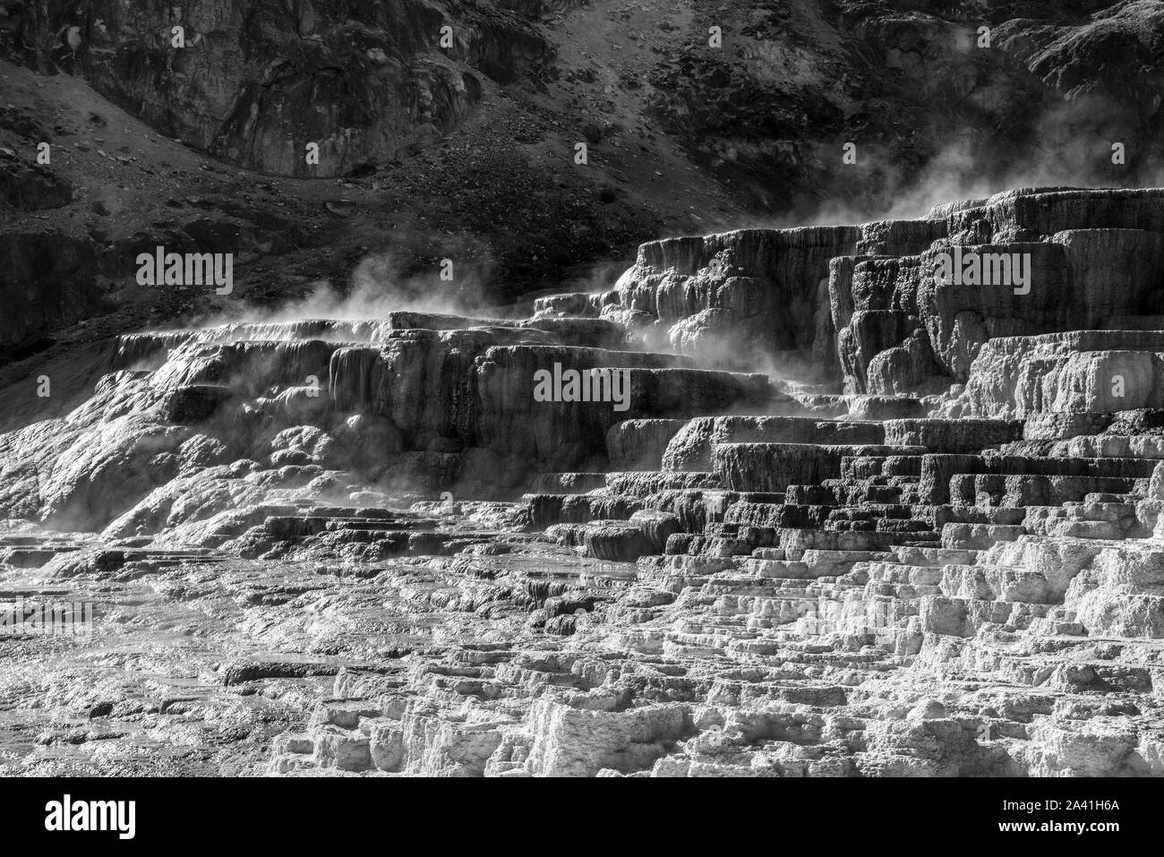 Minerva Terrassen an der unteren Mammoth Hot Springs in YellowstoneNational Park Stockfoto