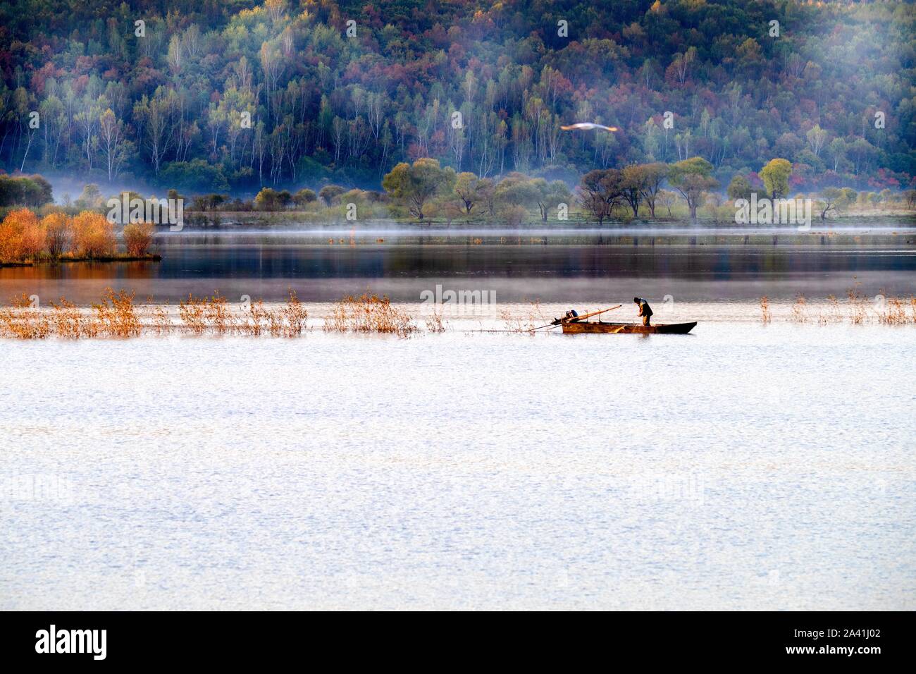 Landschaft der bergigen Gegend und Wald im Herbst in der Stadt Yichun, im Nordosten der chinesischen Provinz Heilongjiang am 27. September, 2019. Stockfoto